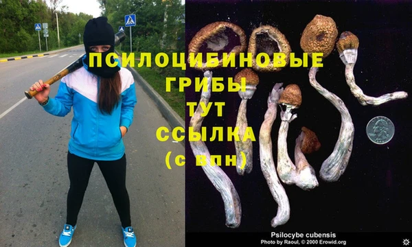 круглые Абдулино